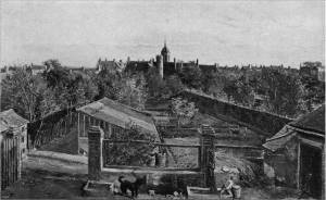 'The Kitchen Garden' by Eyre Crowe A.R.A. (1903)